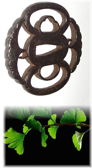 листья дерева гингко и гарда японского меча